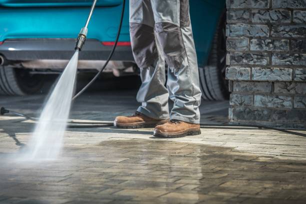 Best Window and Screen Pressure Cleaning in Leonard, TX