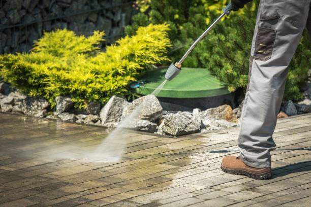 Best Rust and Stain Removal in Leonard, TX