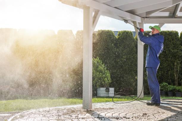 Best Graffiti Removal Services in Leonard, TX