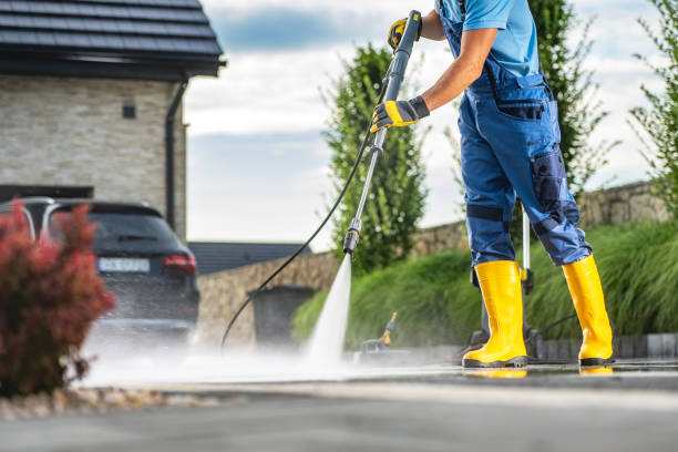 Best Soft Washing for Delicate Surfaces in Leonard, TX
